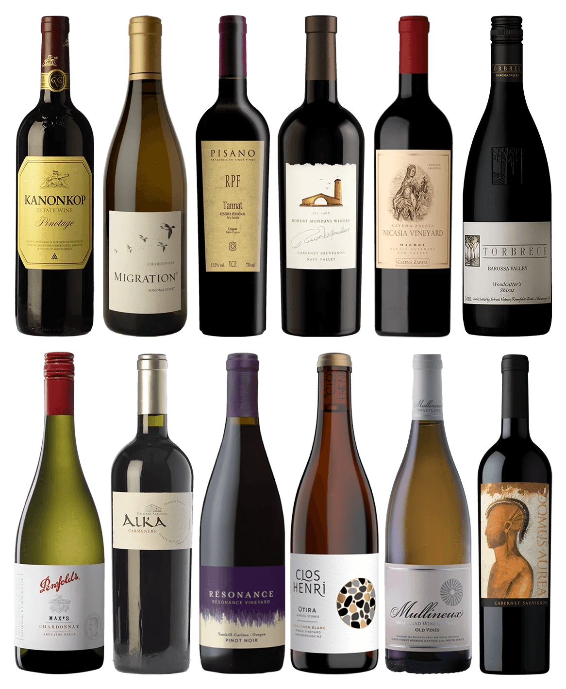 WSET "New World" 12 Bottles Pack