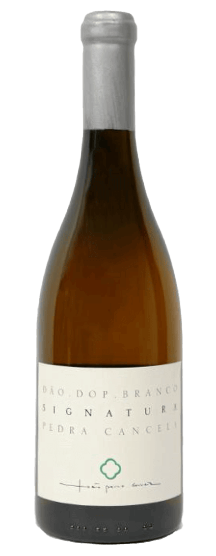 Signatura White