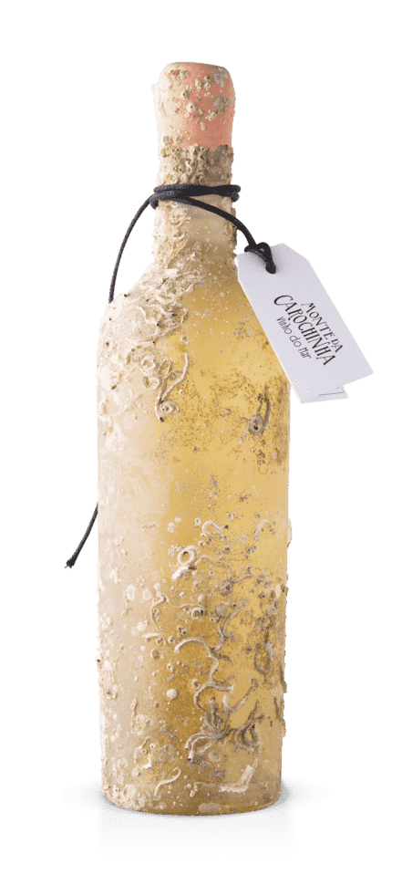 Vinho do Mar White