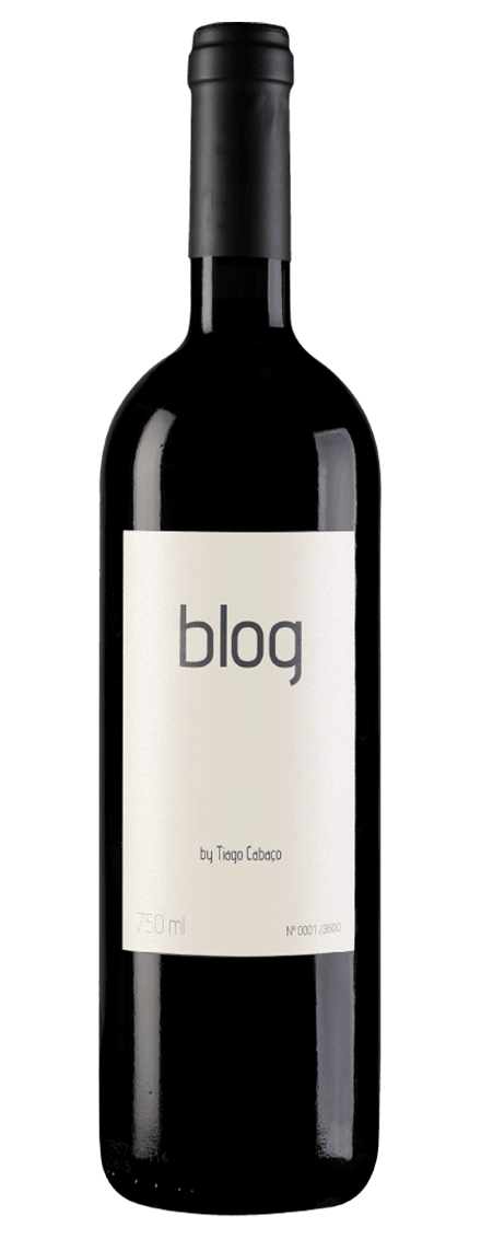 Blog White