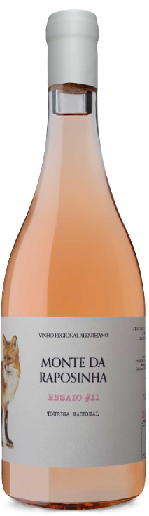 Ensaio II Rose