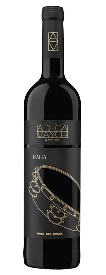 Baga 2020