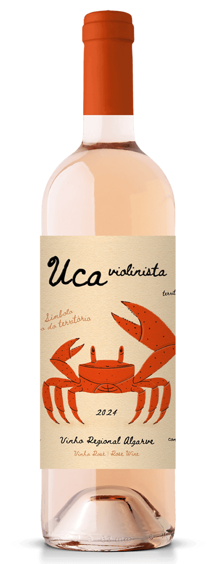 UCA Violinista Rosé