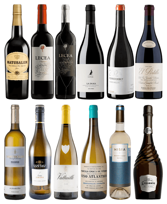 WSET Spain 12 Bottles Pack