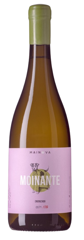 Moinante Encruzado