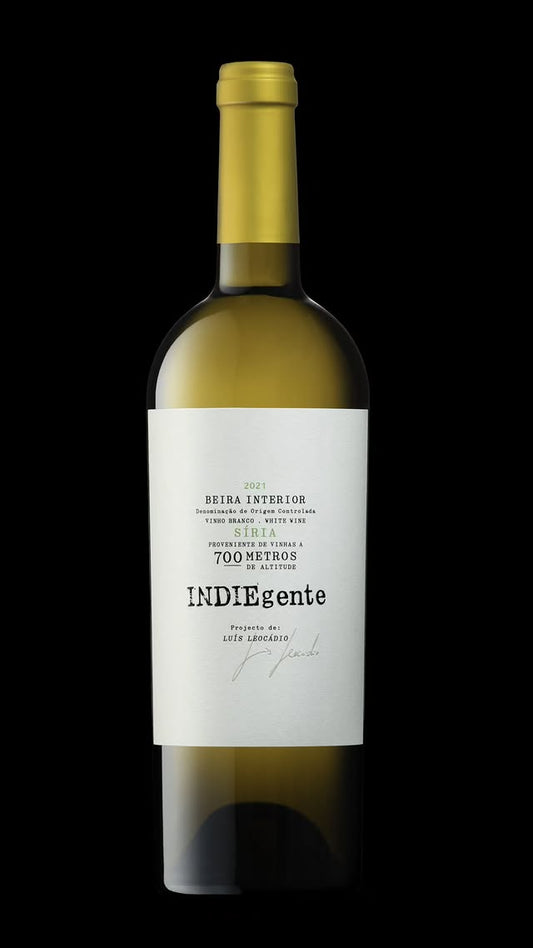 INDIEgente Síria